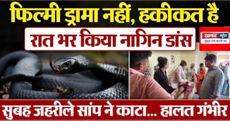 युवक को नागिन डांस पड़ा भारी! अगले दिन बिस्तर पर लेटे युवक को सांप ने डसा, हालत नाज़ुक
